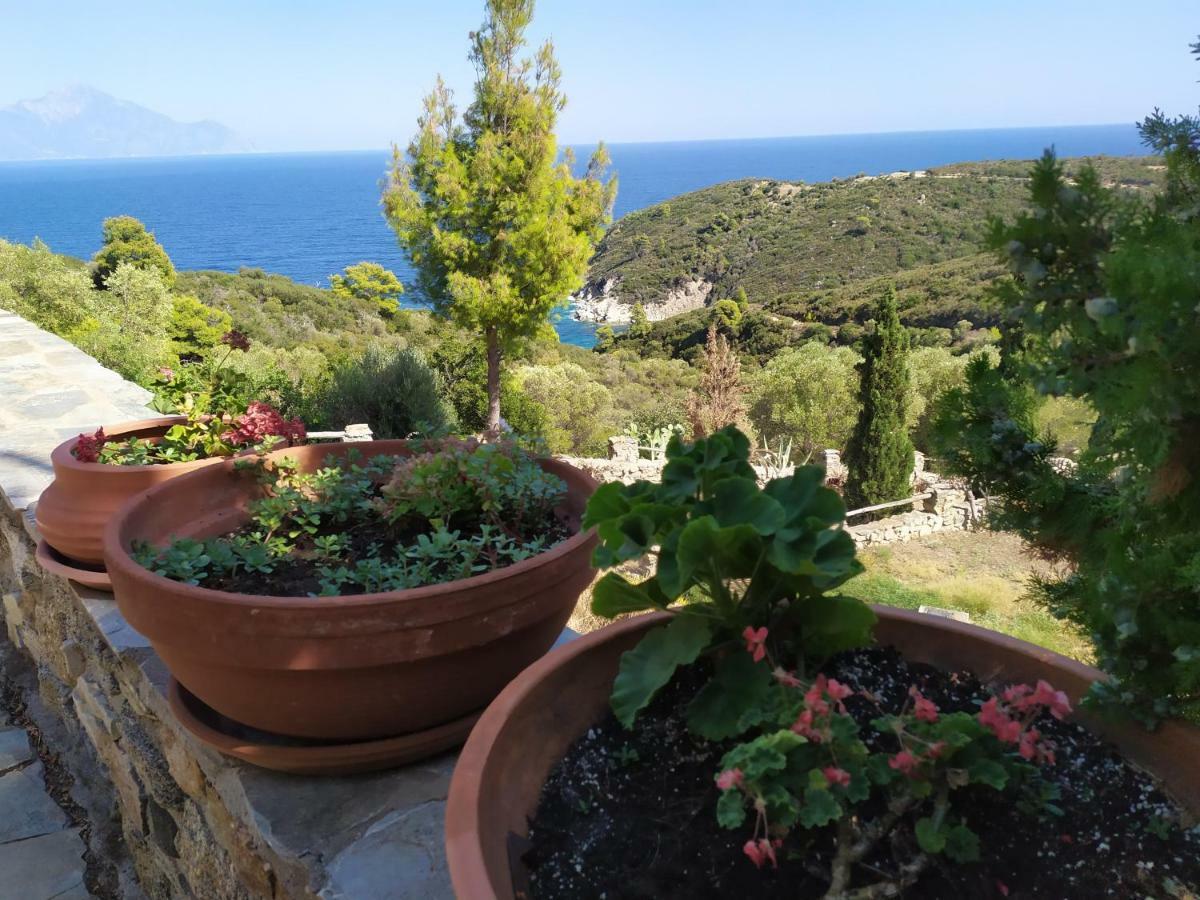 Villa Athos Sarti Eksteriør billede